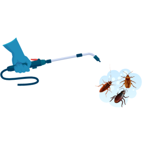 Cockroach Treatment Services