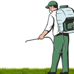 Fumigation Services in Gulistan-e-Jauhar Karachi
